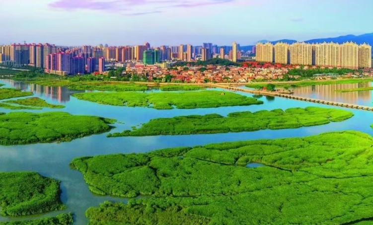 洛江智慧停车项目