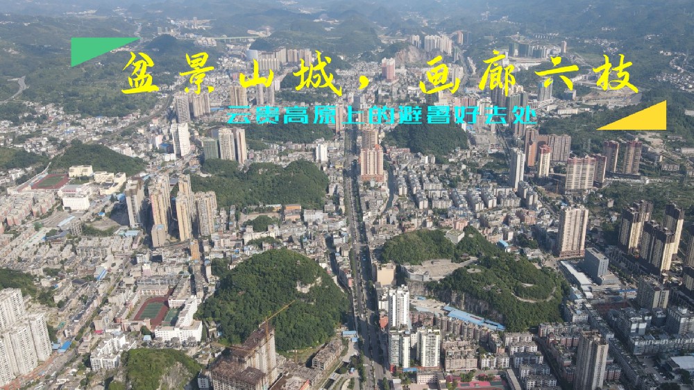 六枝智慧停车项目